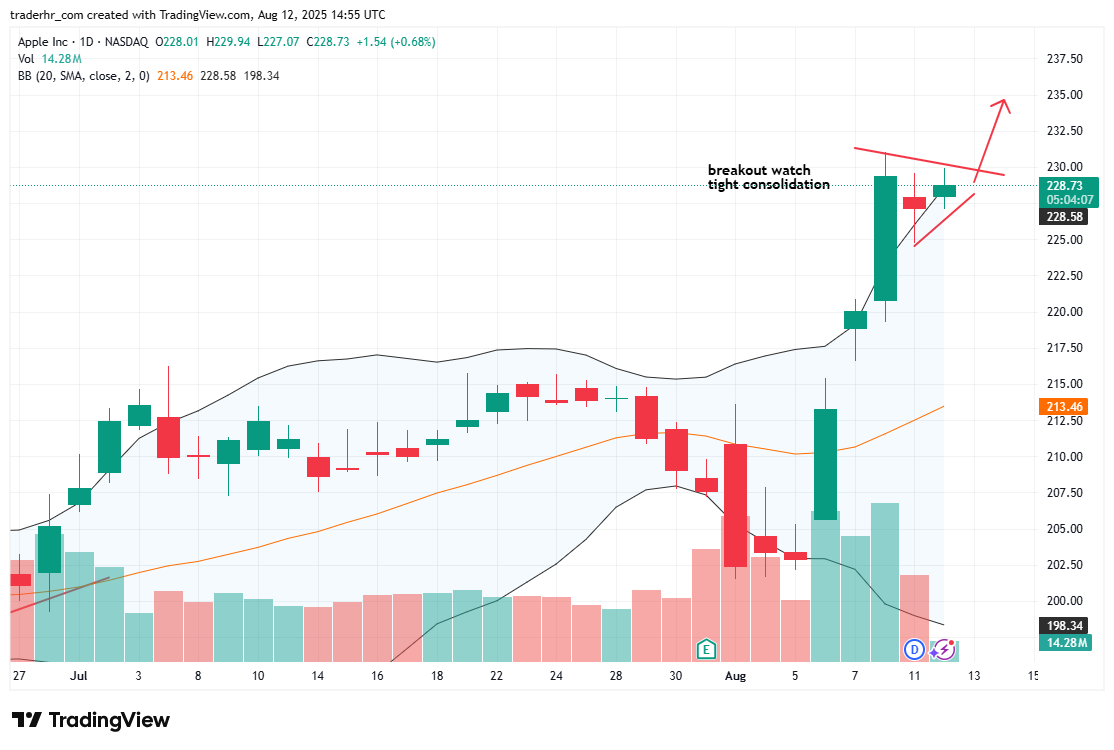 AAPL chart